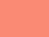 Flamingo Color Chip